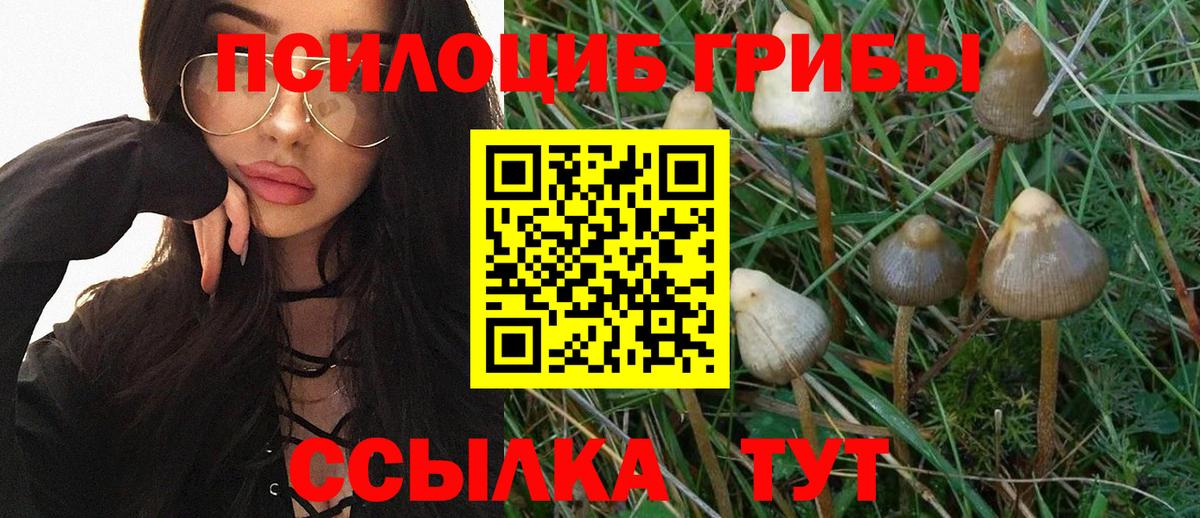 Псилоцибиновые грибы ЛСД Магадан