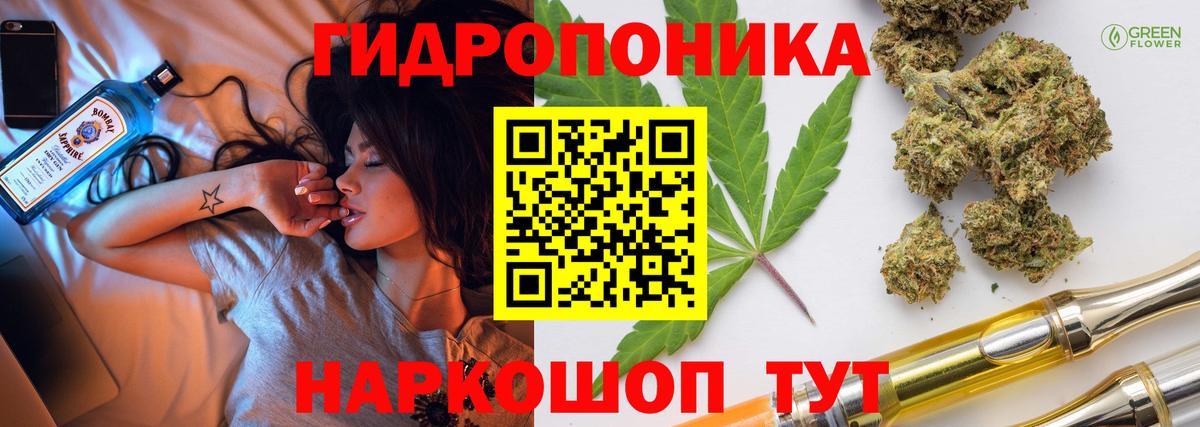 Бошки Шишки White Widow  Вход с VPN  МАРИХУАНА White Widow  Магадан  Каннабис MAZAR  Бошки марихуана конопля 